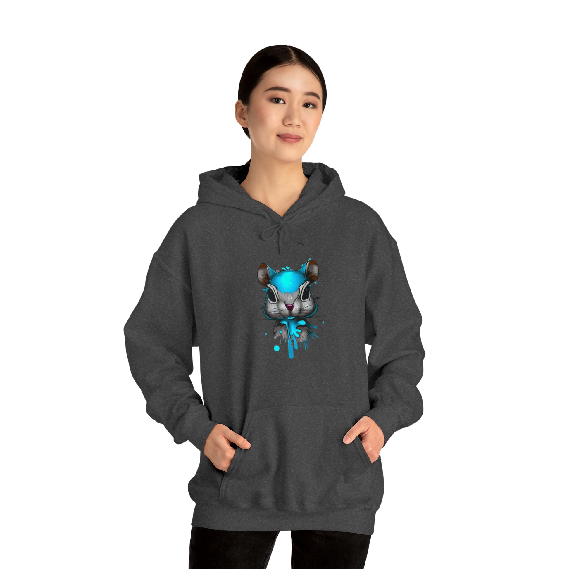 Graffiti Hoodie, Graffiti Sweatshirt,Squirrel hoodie, Urban Art Hooded Sweatshirt, Blue, - SaviTraviDesigns