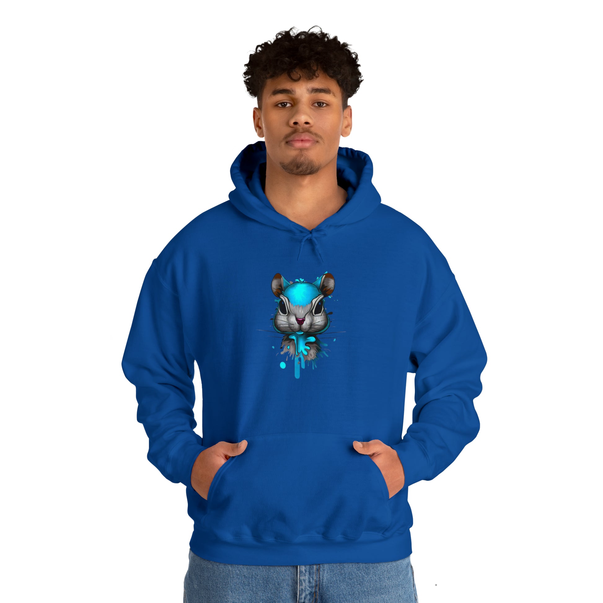 Graffiti Hoodie, Graffiti Sweatshirt,Squirrel hoodie, Urban Art Hooded Sweatshirt, Blue, - SaviTraviDesigns